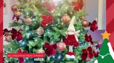 My Christmas Tree Contest - Serena