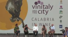 Speciale - Vinitaly and The City